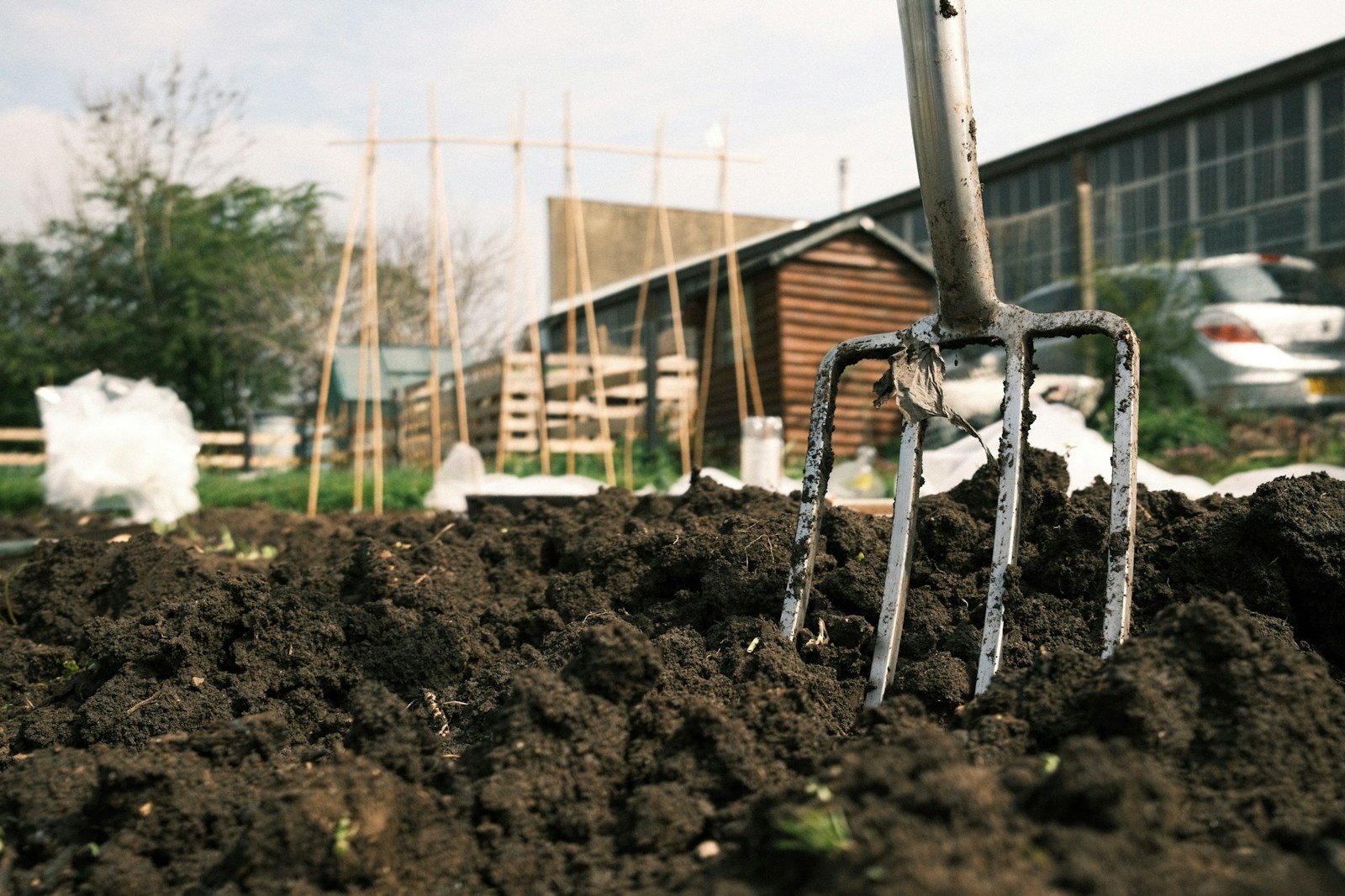 Comment garder vos outils de jardinage plus de 10 ans ? Le guide ultime
